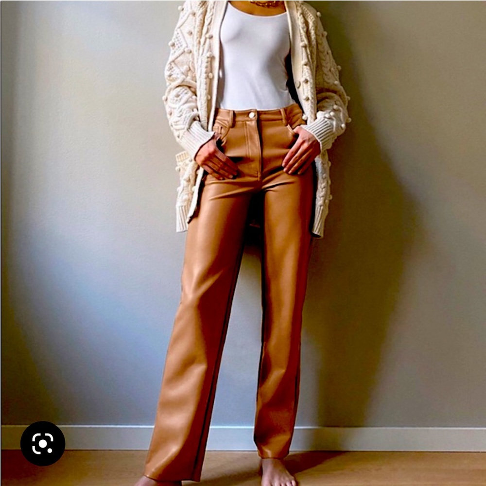 Aritzia faux leather pants (Melina pant)